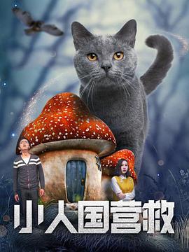 在刚刚 《奇幻森林之兽语小子》首映 彰显中巴文化特色 2021-12-20 12月19日，中巴首部合拍动画电影《奇幻森林之兽语小子》在北京举办“奇幻冒险友爱同行”首映礼。
